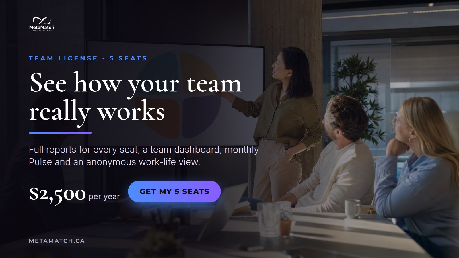 MetaMatch Team License, 5 seats, $2,500 per year